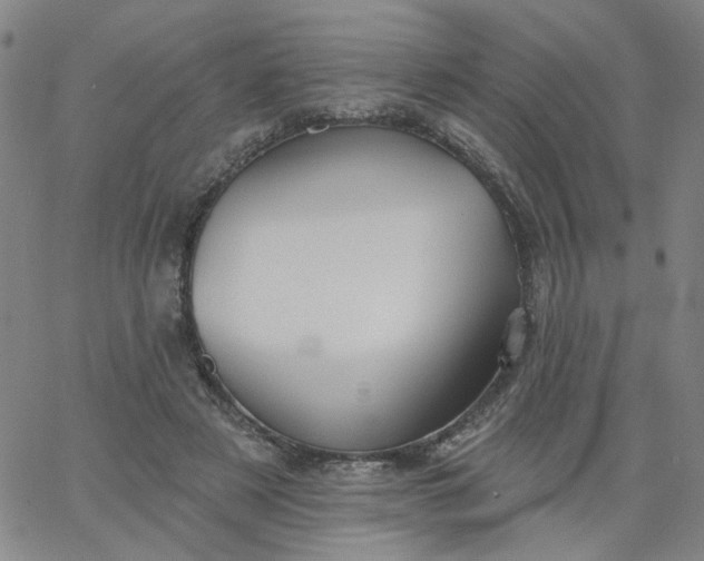 X0000067390497200604131935