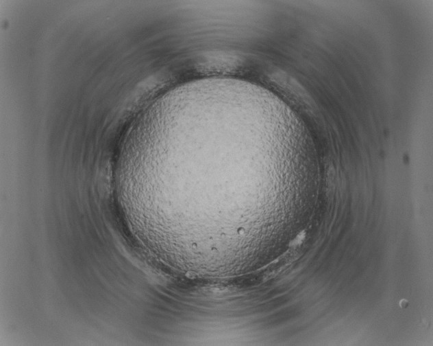 X0000067390498200604131935