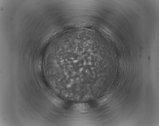 X0000067390499200604131935