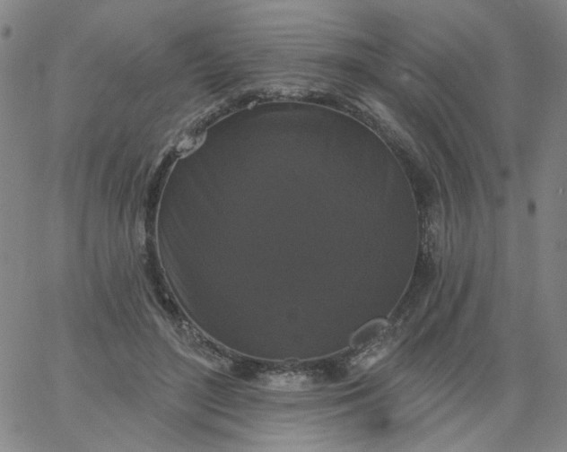 X0000067390500200604131935