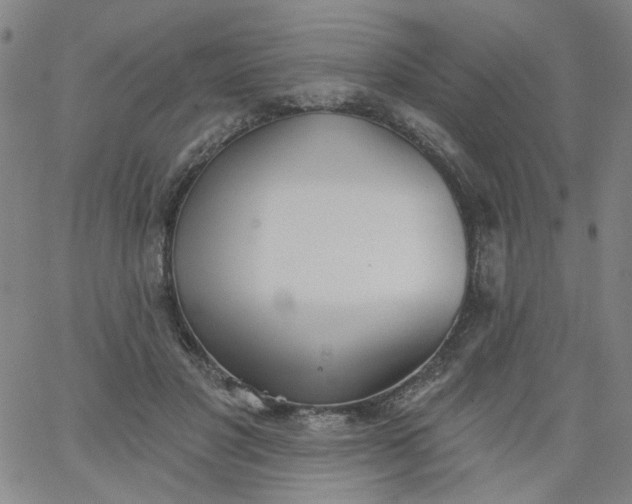 X0000067390501200604131935