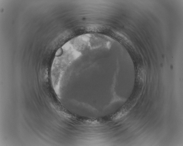 X0000067390502200604131935