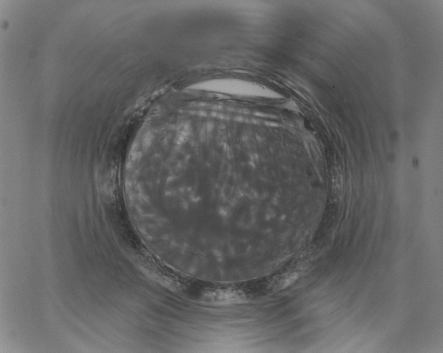 X0000067390503200604131935