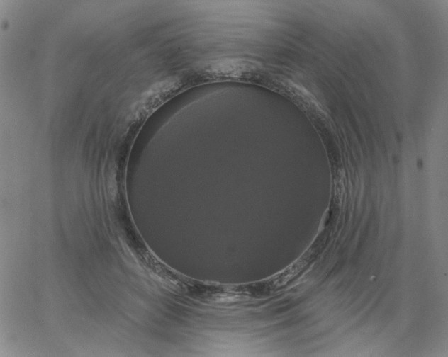 X0000067390504200604131935