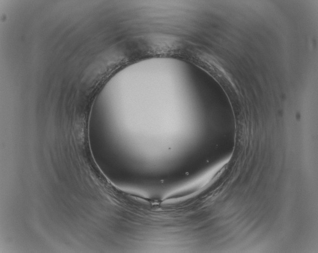 X0000067390505200604131935