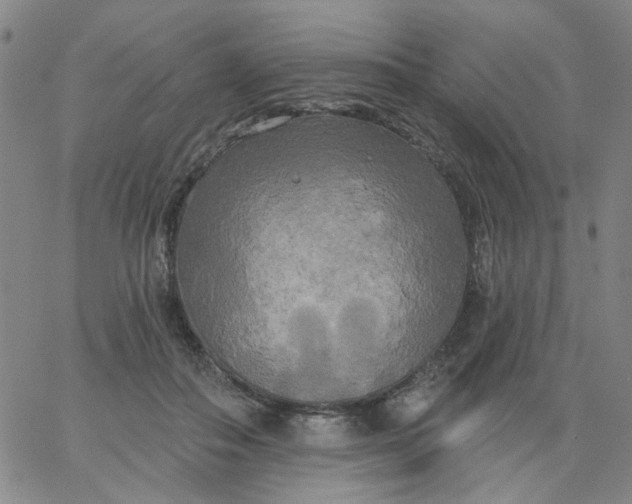 X0000067390506200604131935