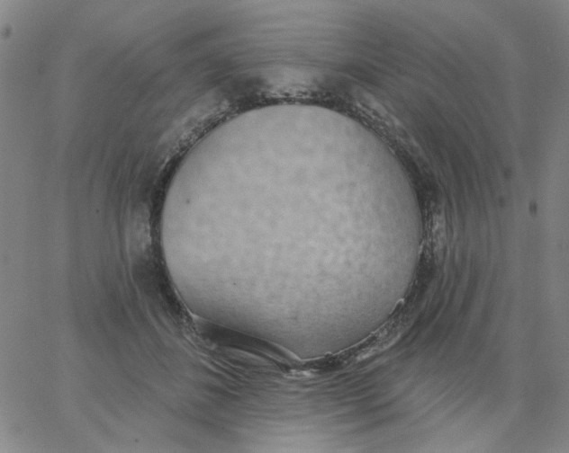 X0000067390508200604131935