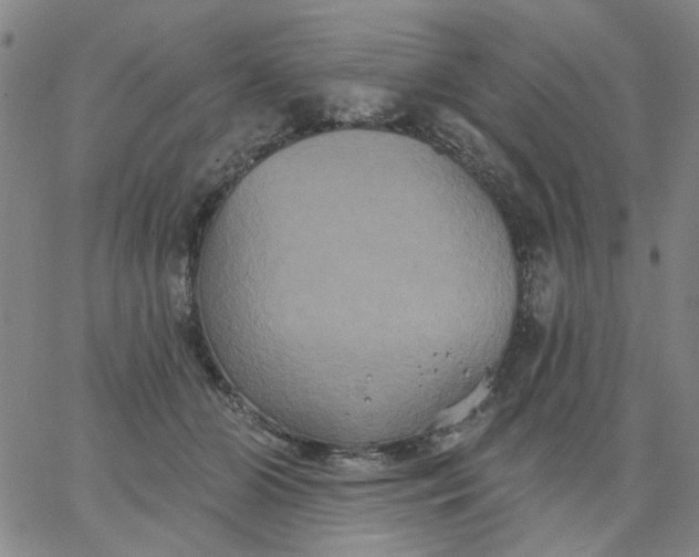 X0000067390510200604131935