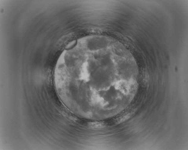 X0000067390511200604131935