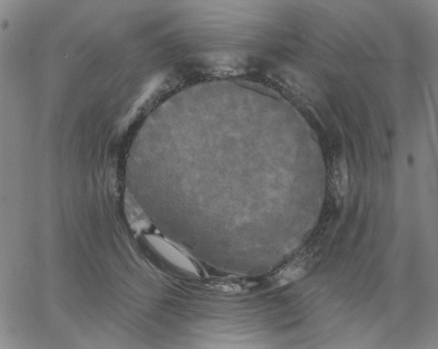 X0000067390512200604131935