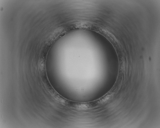 X0000067390513200604131935