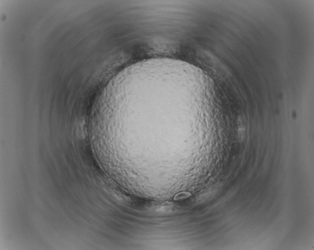 X0000067390514200604131935