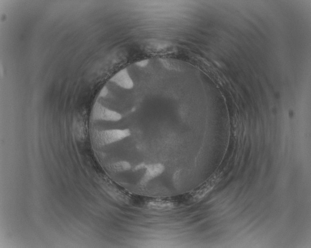 X0000067390515200604131935