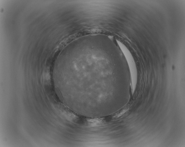 X0000067390516200604131935