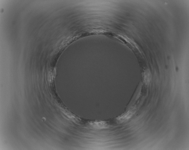 X0000067390517200604131935