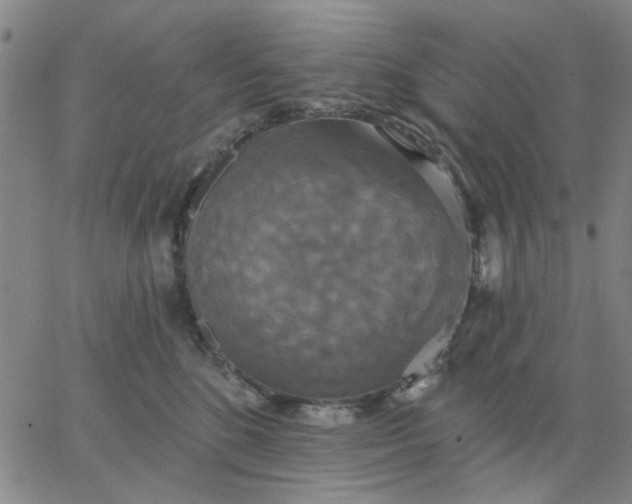 X0000067390520200604131935