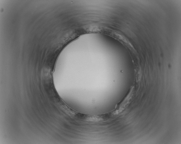 X0000067390521200604131935