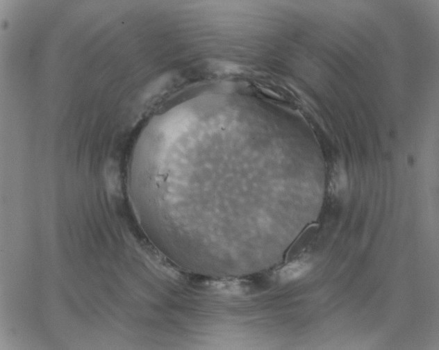 X0000067390524200604131935