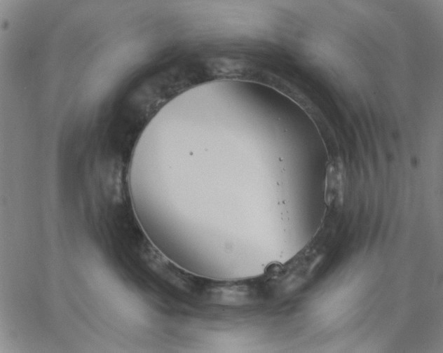 X0000067390525200604131935