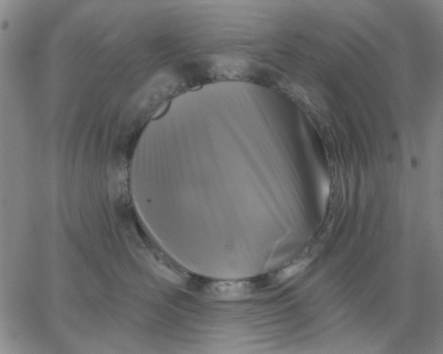 X0000067390526200604131935