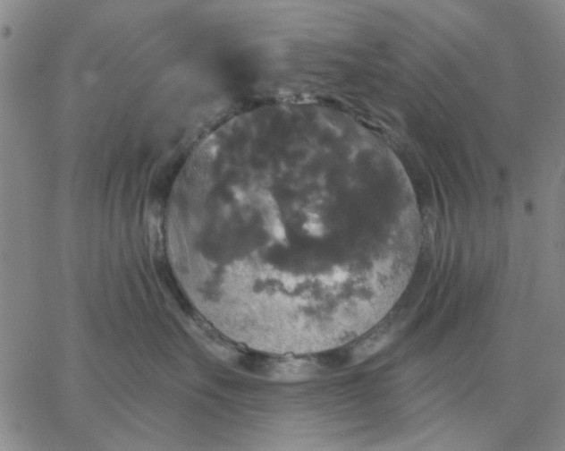 X0000067390527200604131935