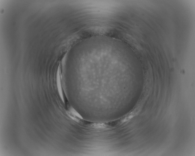 X0000067390528200604131935