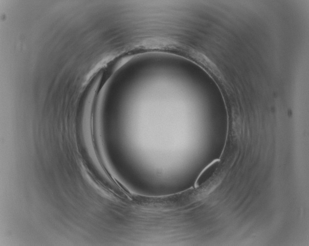 X0000067390530200604131934