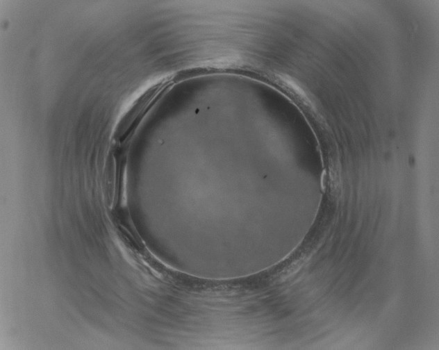 X0000067390532200604131934