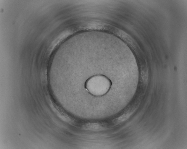 X0000067390534200604131934