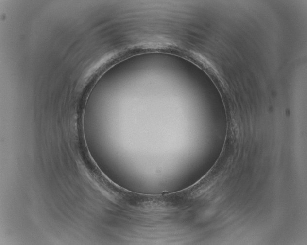 X0000067390535200604131934