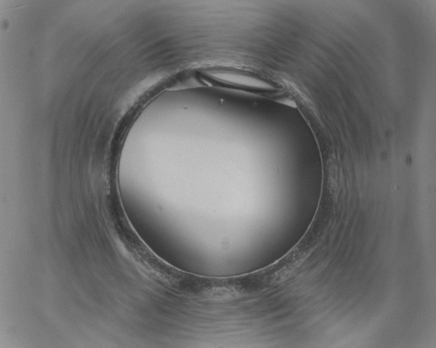 X0000067390536200604131934