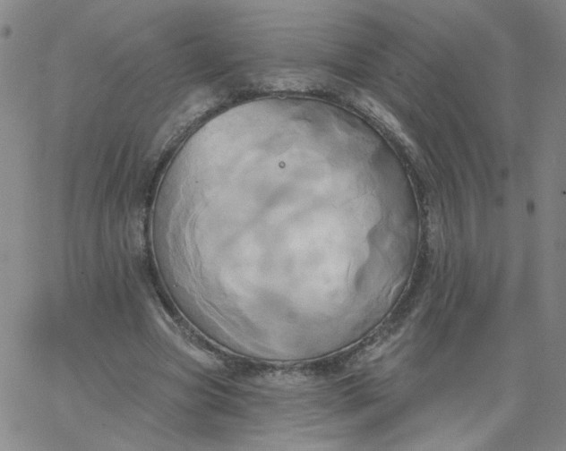 X0000067390537200604131934