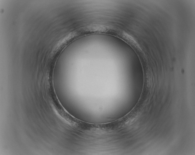 X0000067390538200604131934