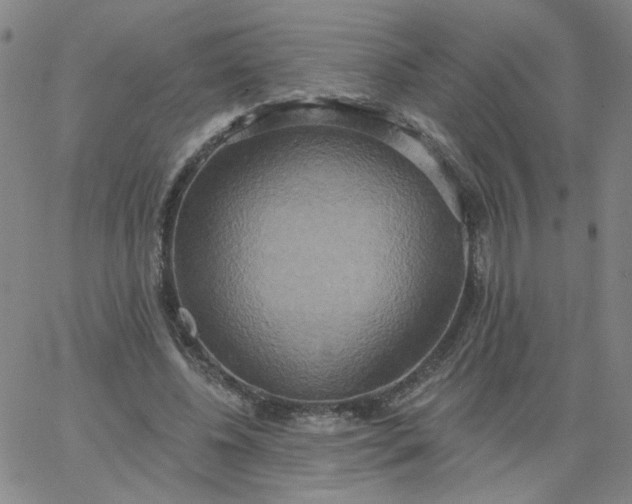 X0000067390540200604131934