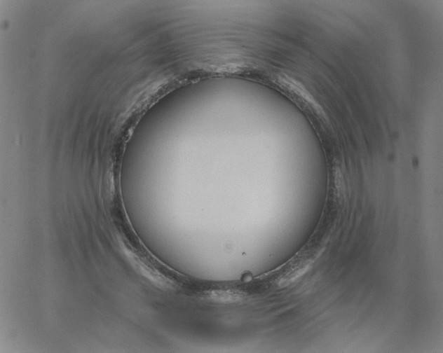 X0000067390541200604131934