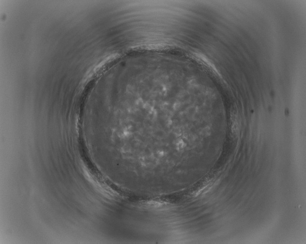 X0000067390542200604131934