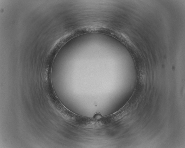 X0000067390543200604131934