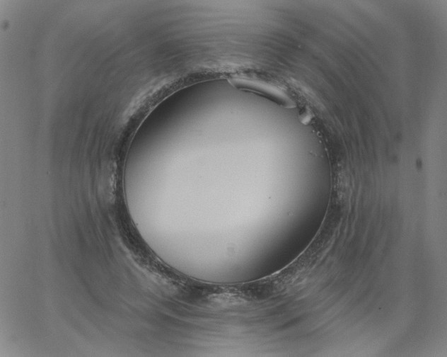 X0000067390544200604131934