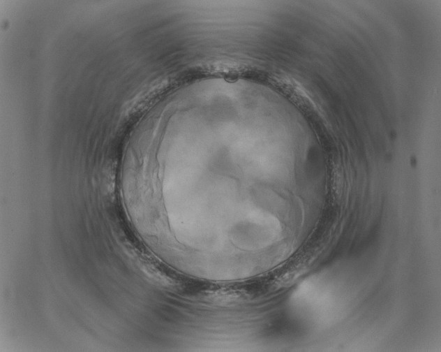 X0000067390545200604131934