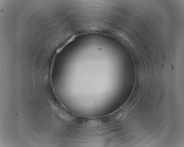 X0000067390546200604131934