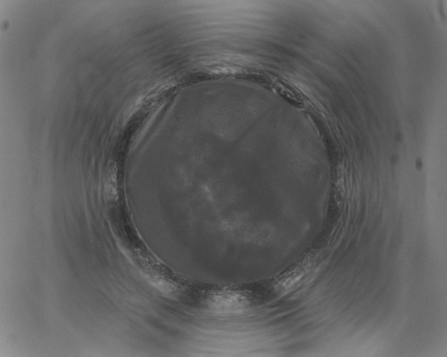 X0000067390547200604131934