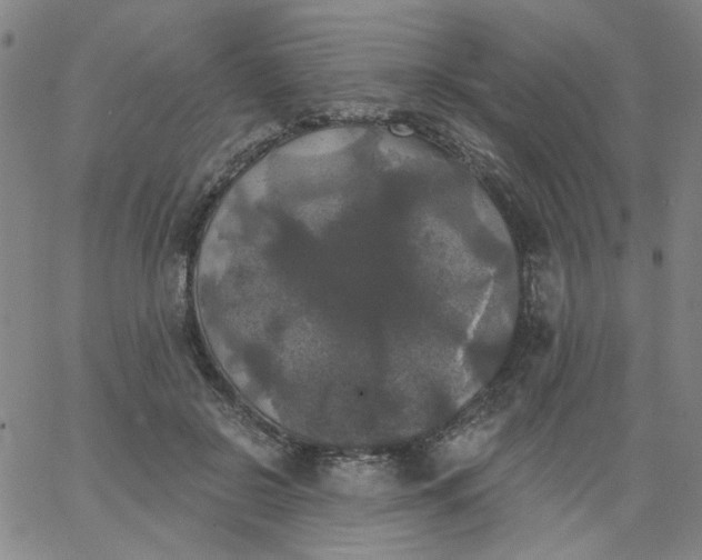 X0000067390550200604131934