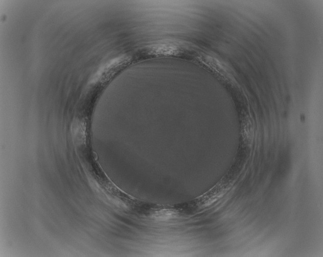 X0000067390551200604131934