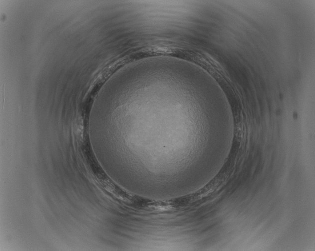 X0000067390552200604131934