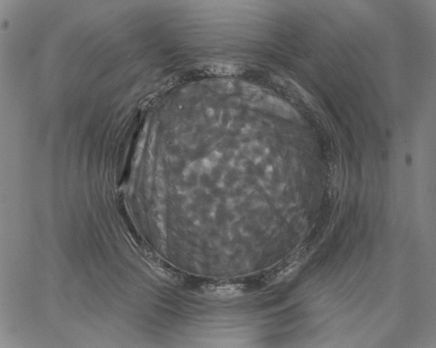 X0000067390553200604131934