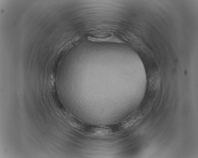 X0000067390555200604131934