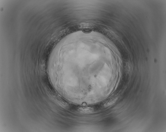 X0000067390557200604131934