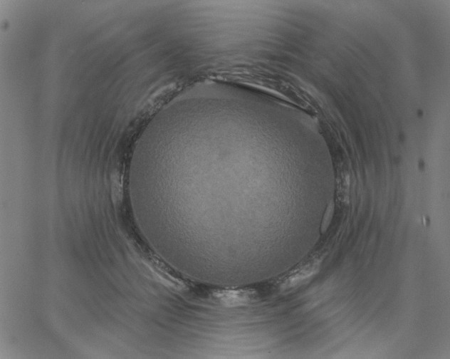 X0000067390558200604131934