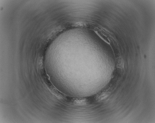 X0000067390560200604131934