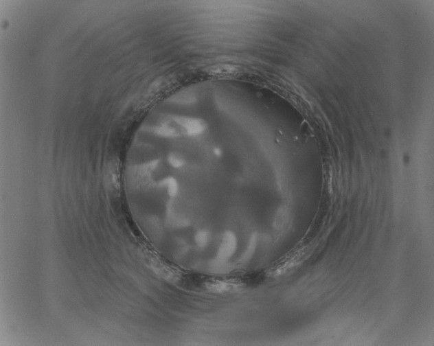 X0000067390561200604131934